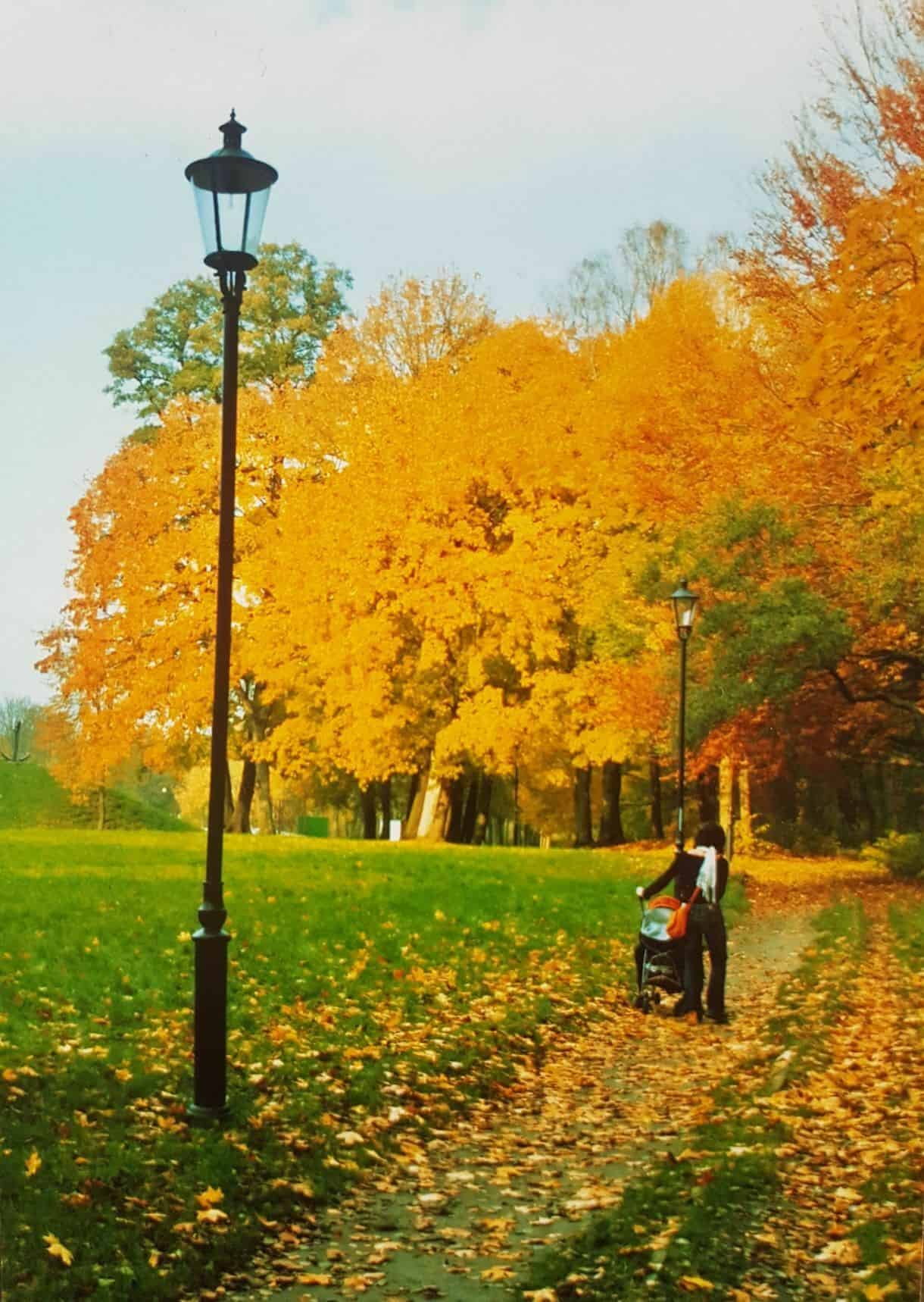 Jesienny spacer z dzieckiem w parku, żółte liście na ziemi i na drzewach