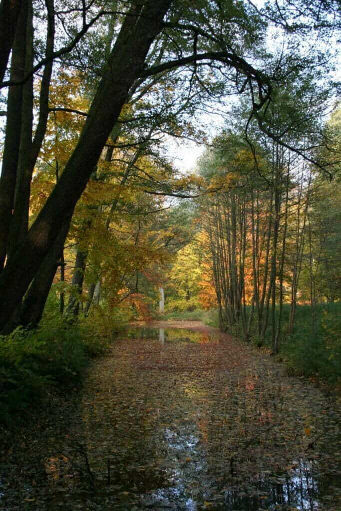 jesień w parku w Wejherowie