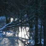zimowy las, rzeka, odbijające się słońce