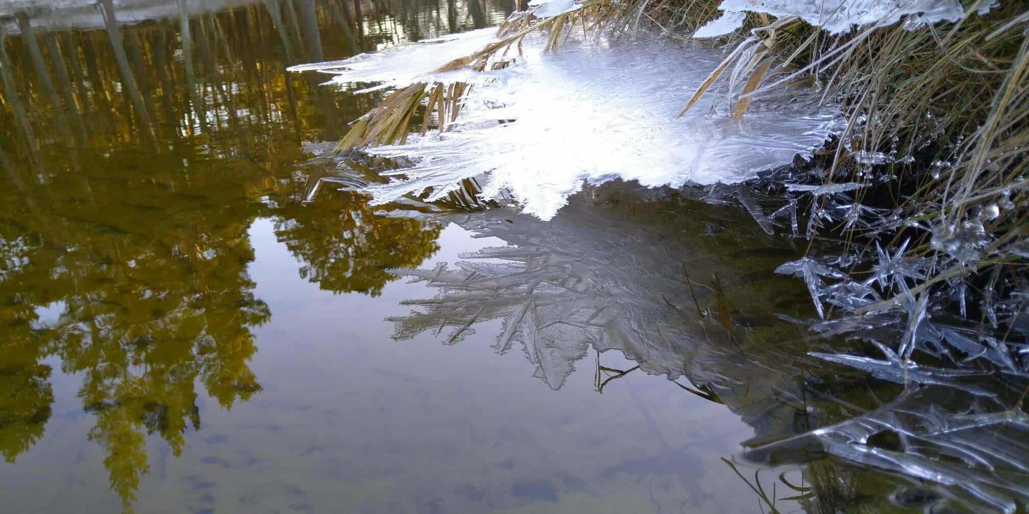 lodowa kra na rzece