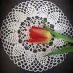 czerwony tulipan na białej serwetce