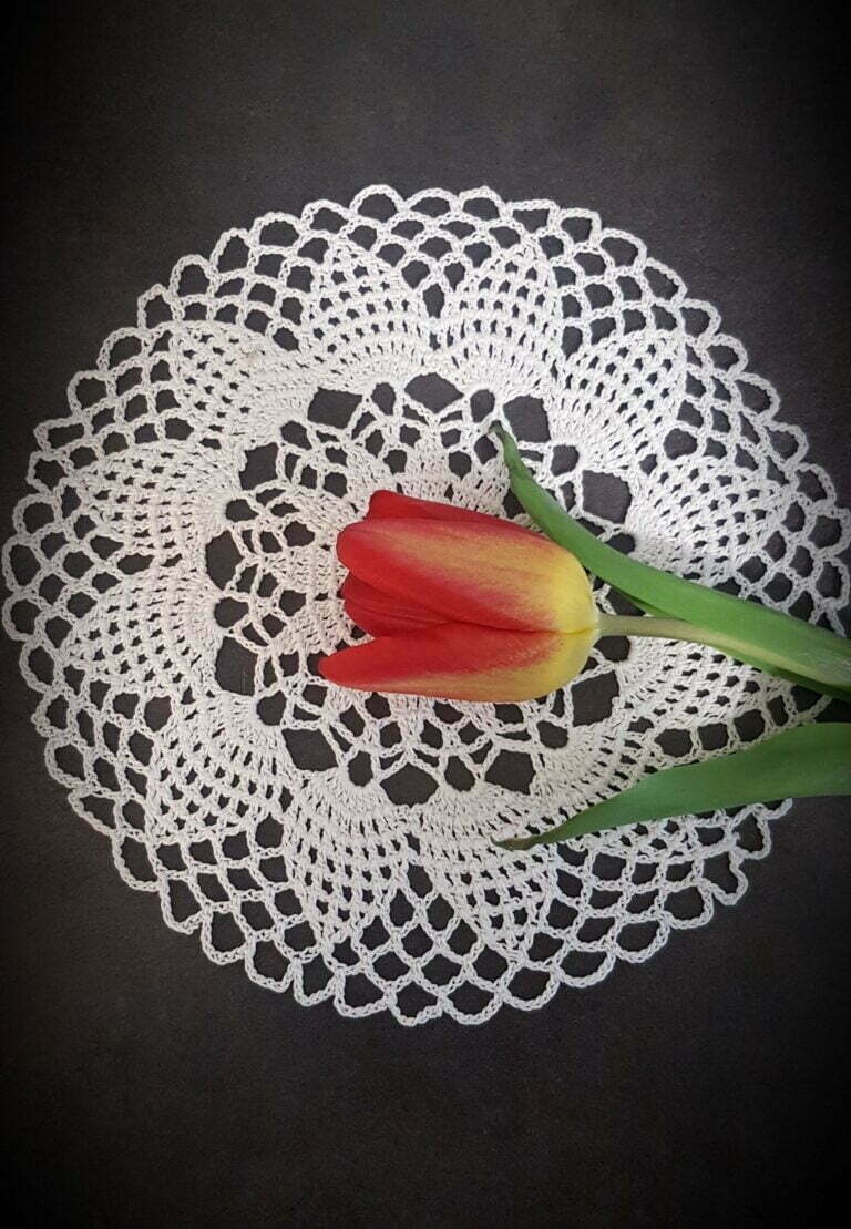 czerwony tulipan na białej serwetce