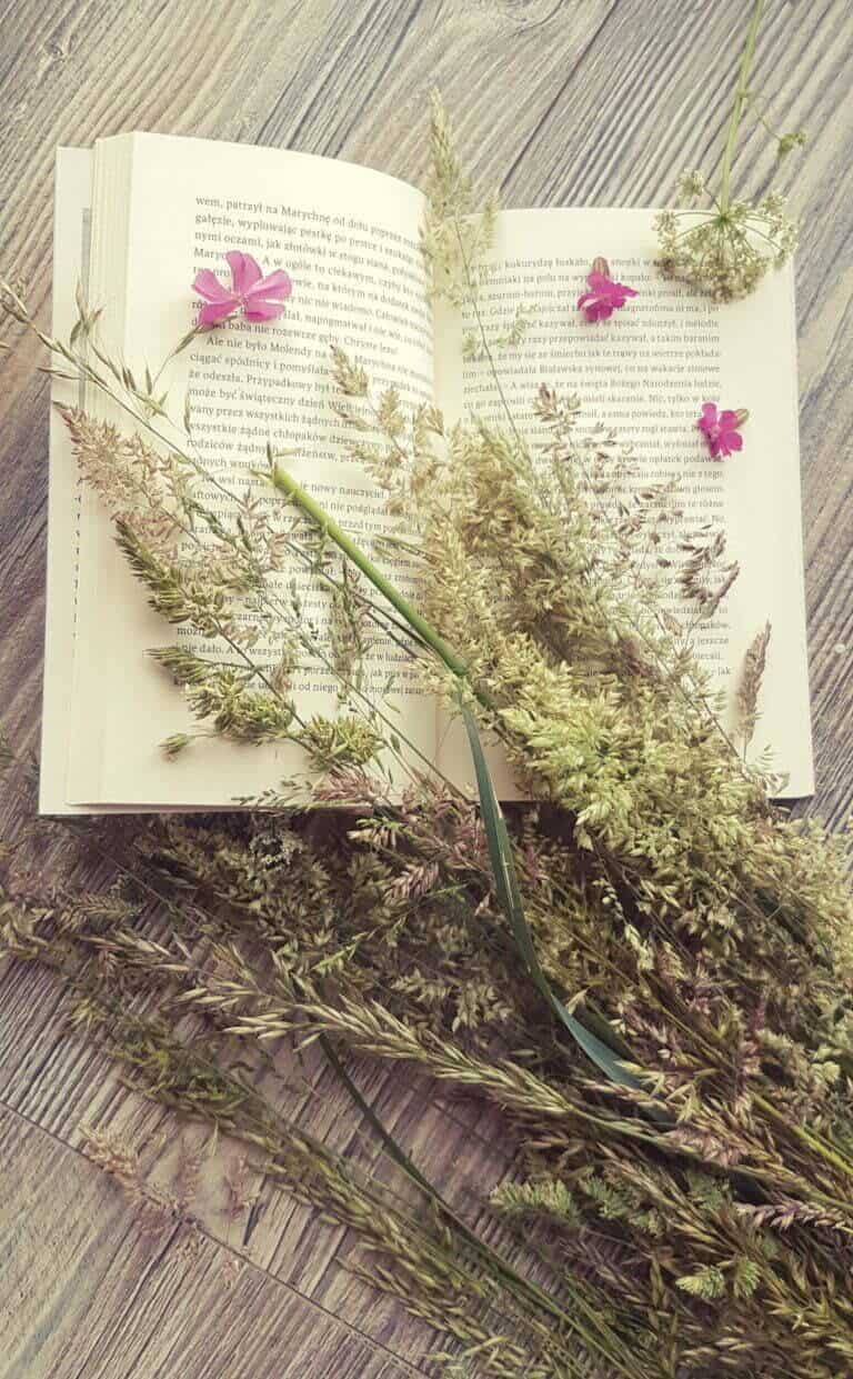 książka "Najada" - otwarta, leżą na niej polne kwiaty