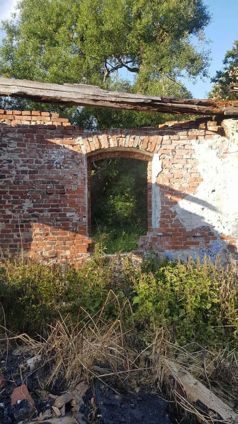 wakacje na wsi - zdjęcie starego, opuszczonego gospodarstwa, pozostały ruiny, otulone drzewami, krzewami i gąszczem pokrzyw