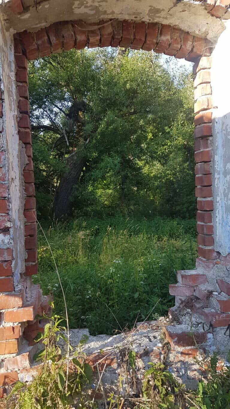 wakacje na wsi - zdjęcie starego, opuszczonego gospodarstwa, pozostały ruiny, otulone drzewami, krzewami i gąszczem pokrzyw