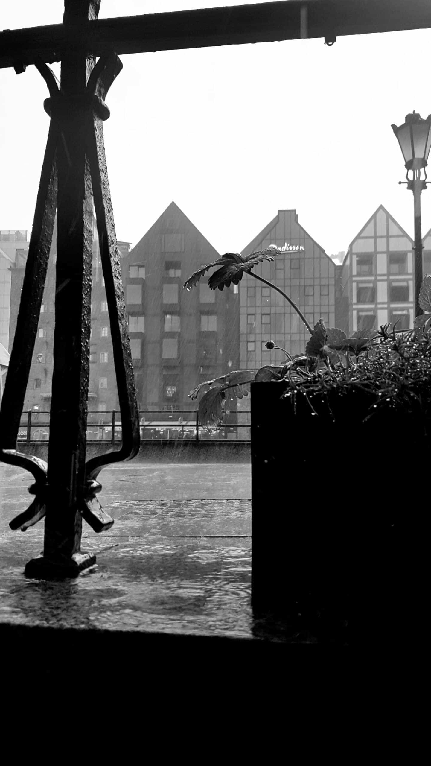 Gdańsk w deszczu, ilustracja do : jesienne opowiadanie