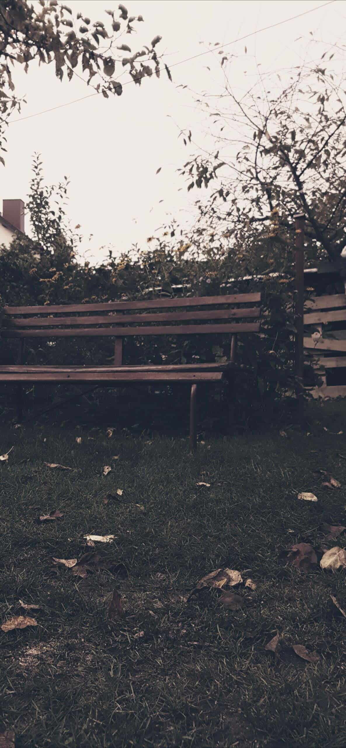 o pisaniu - ławka w ogrodzie - do opowiadania o życiu ławki