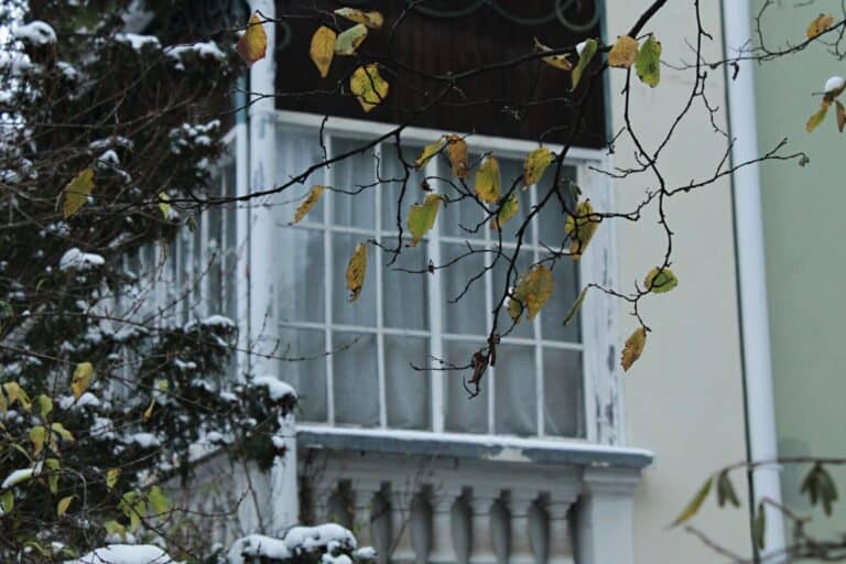 sopot - okno wlli, z jesiennymi liśćmi