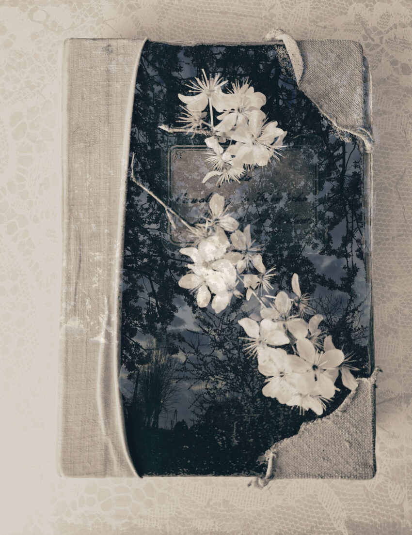 stara książka, na jasnym tle, z kwiatem kwitnącej wiśni, czytamy z sentymentem