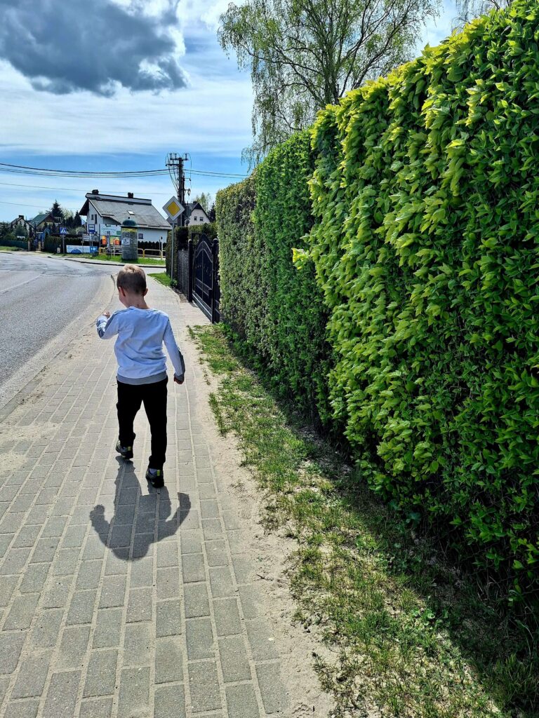 chłopiec idzie ulicą, nad nim pochmurne niebo, obok zielony żywopłot