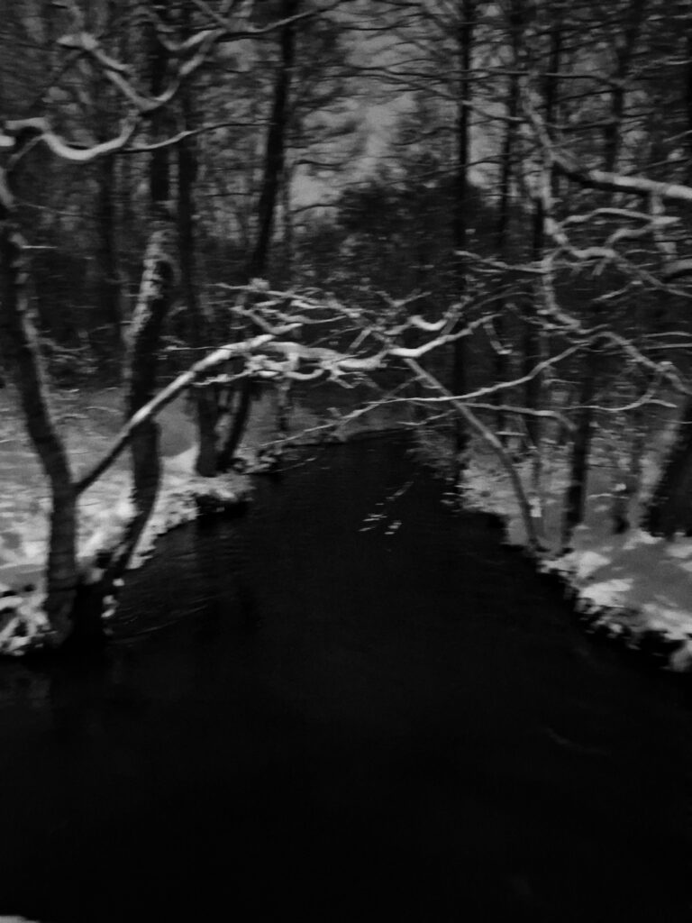 czarno-biały styczeń - poruszone zdjęcie z rzeką i gałęziami, robi wrażenie tajemniczości i lęku