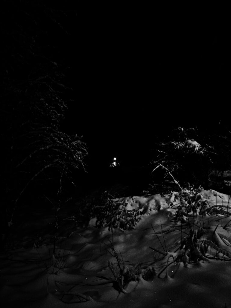 noc, drzewo, trochę śniegu