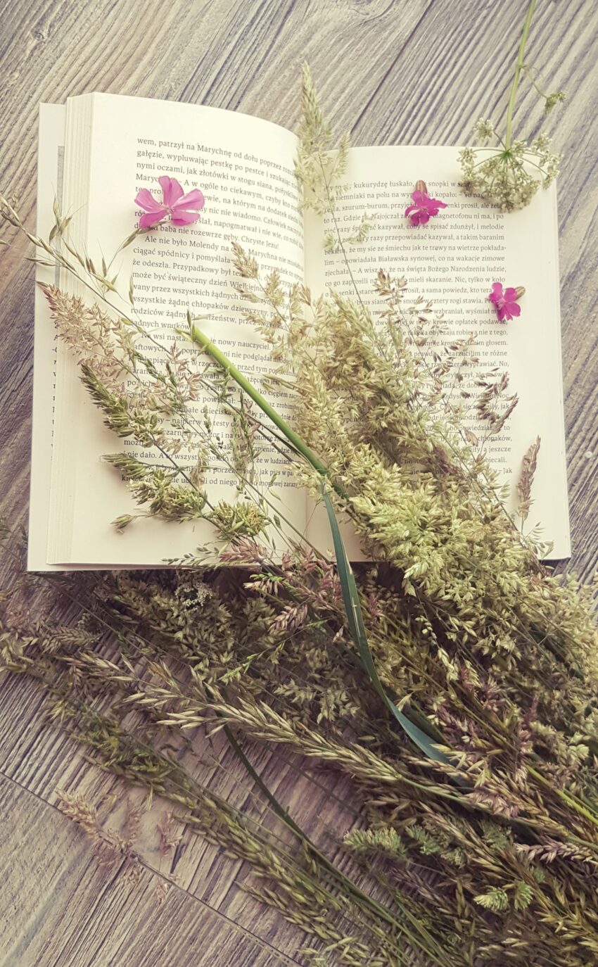 książkowe niezapominajki - otwarta książka i bukiet ususzonych kwiatów