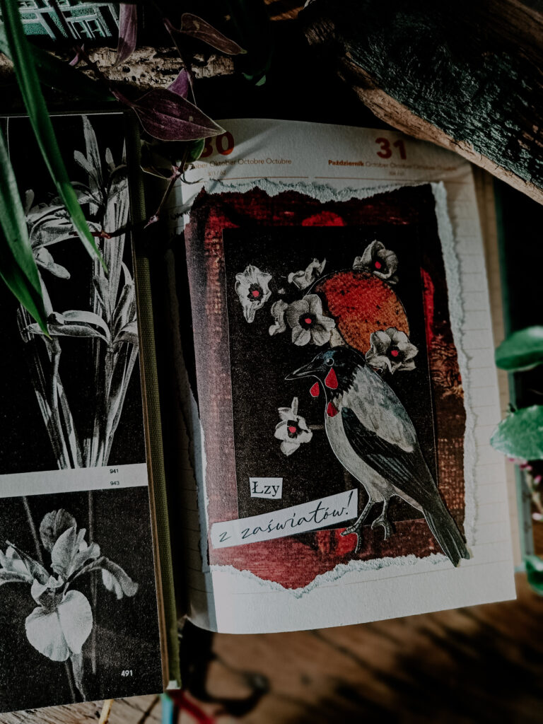 herbarium cieni kolaż "łzy"