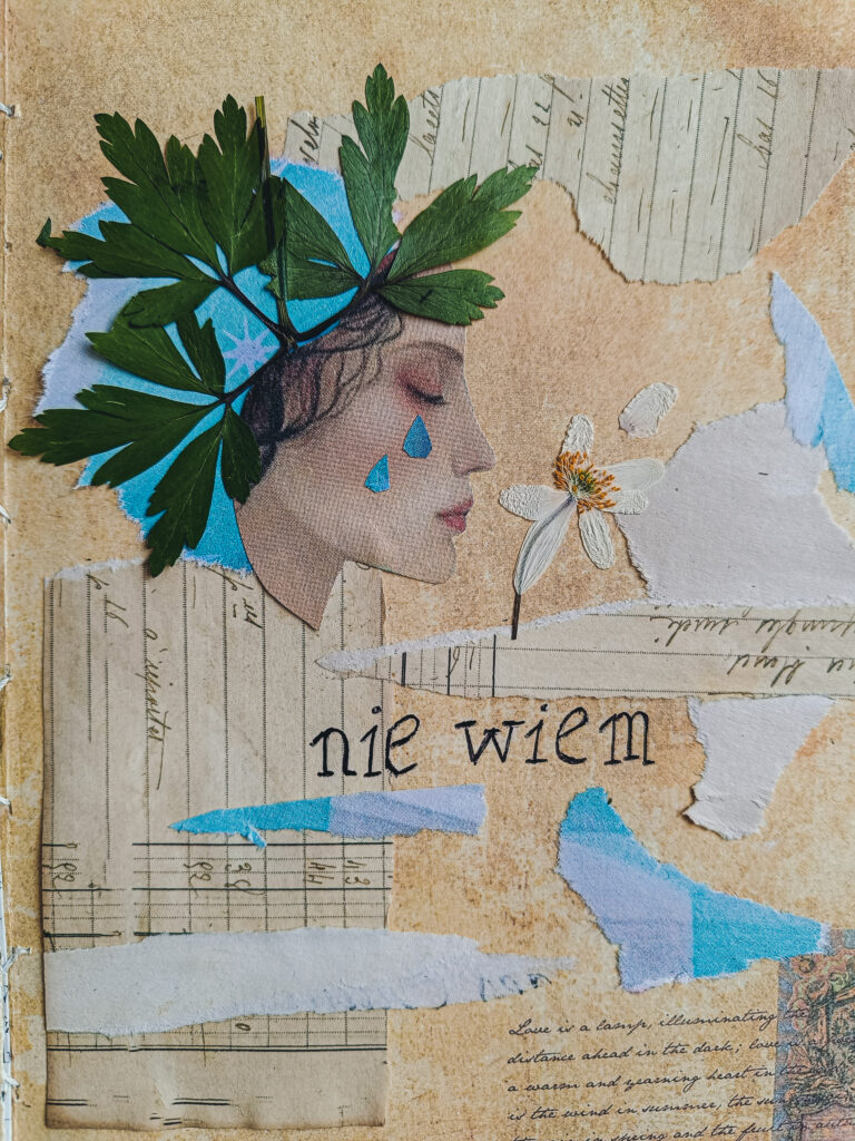 herbarium cieni - kolaż "nie wiem"