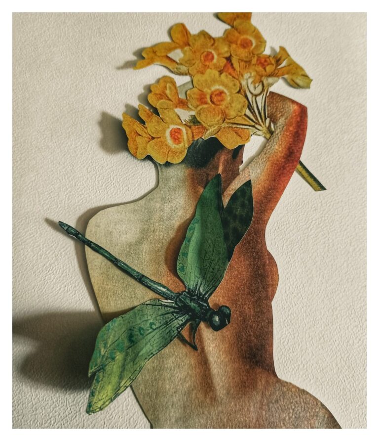 herbarium cieni kolaż ważka