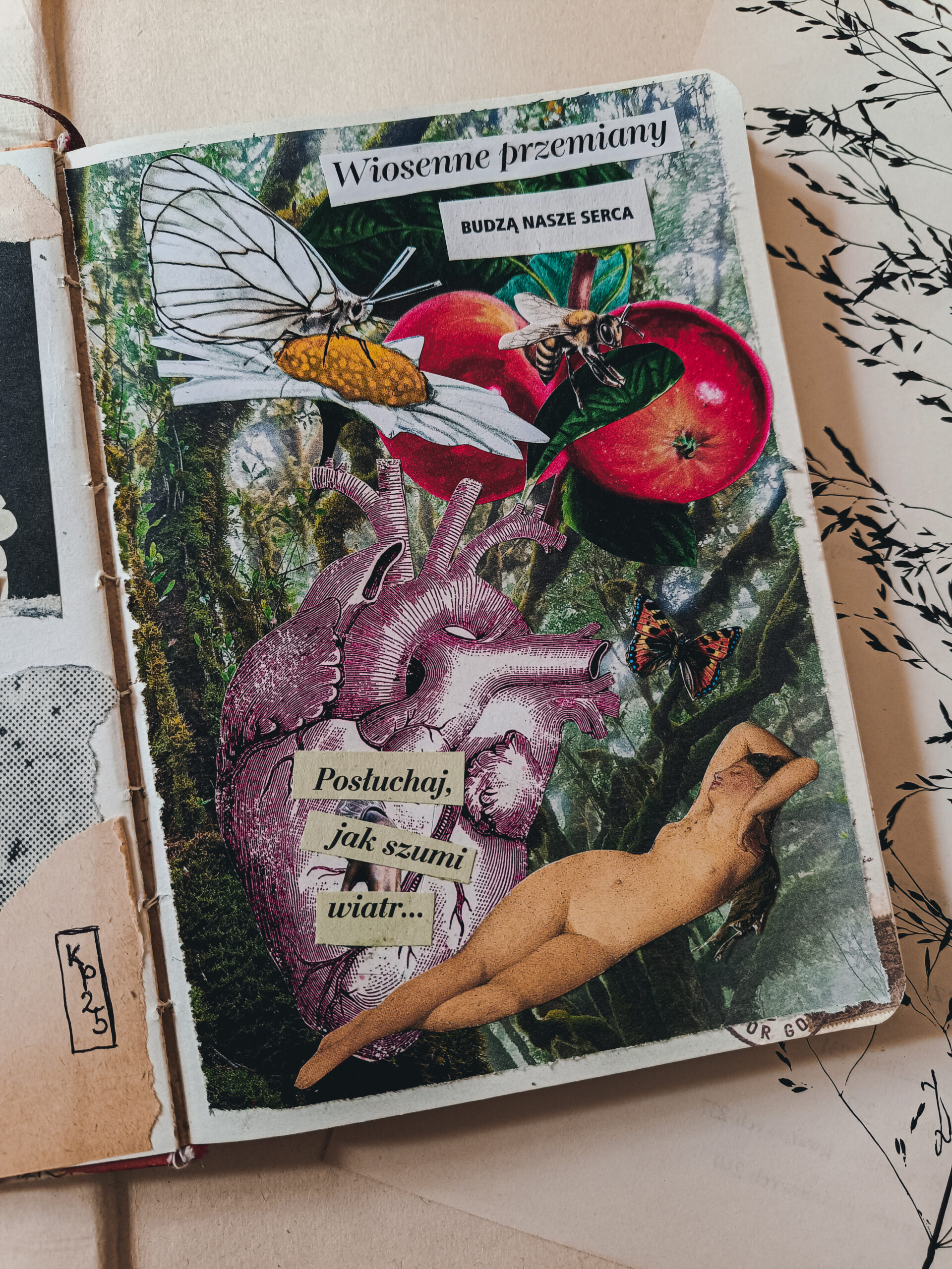 herbarium cieni - kolaż "wiosenne przemiany"